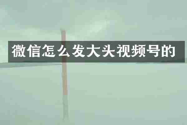 微信怎么发大头视频号的