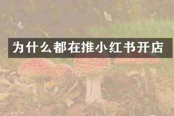 为什么都在推小红书开店