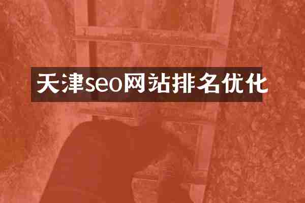天津seo网站排名优化