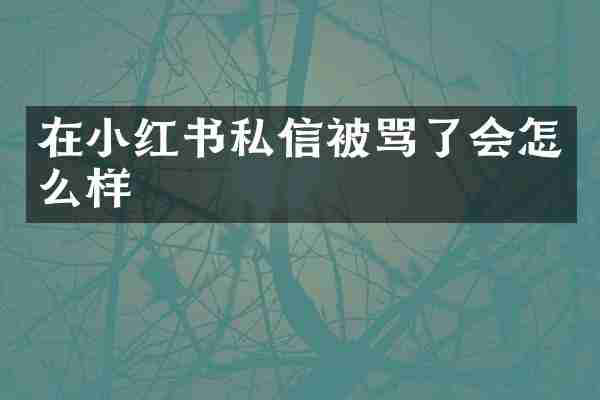 在小红书私信被骂了会怎么样