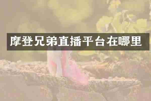 摩登兄弟直播平台在哪里