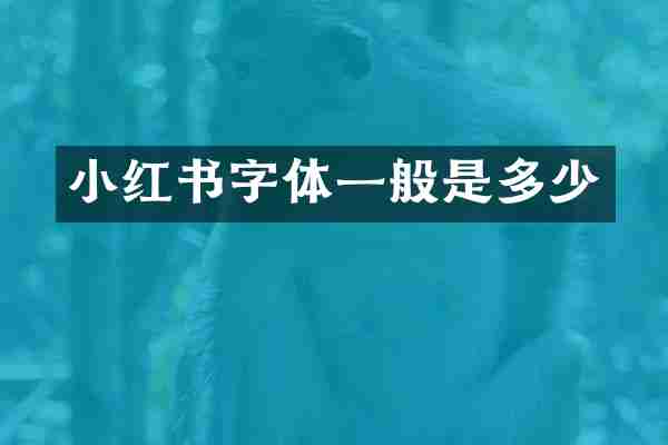 小红书字体一般是多少