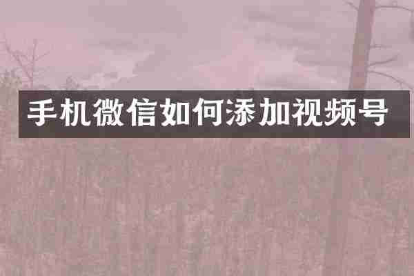 手机微信如何添加视频号