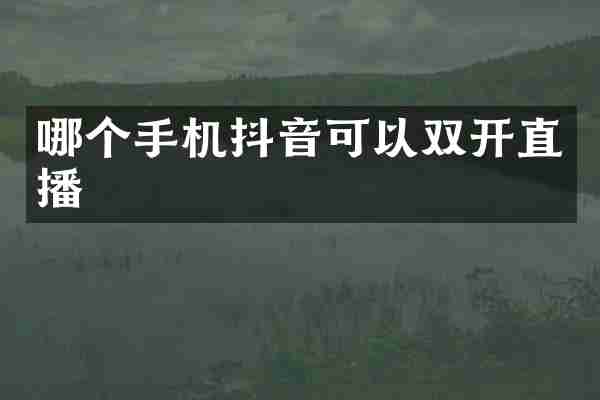 哪个手机抖音可以双开直播