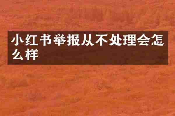 小红书举报从不处理会怎么样