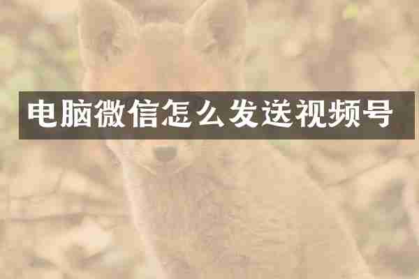 电脑微信怎么发送视频号
