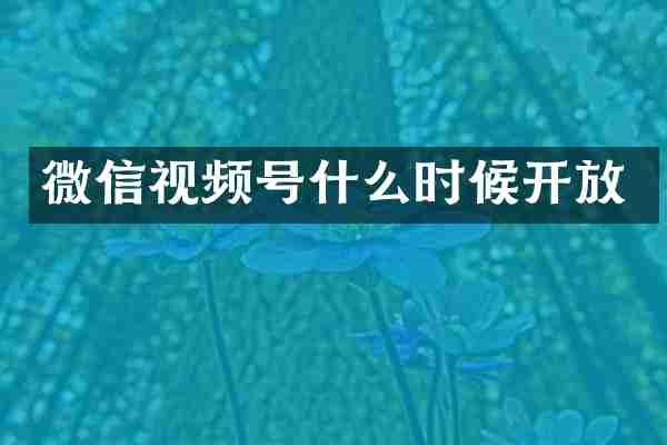 微信视频号什么时候开放
