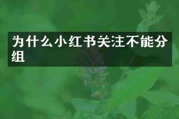 为什么小红书关注不能分组