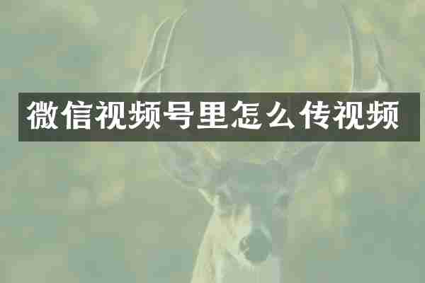 微信视频号里怎么传视频