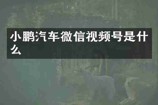 小鹏汽车微信视频号是什么