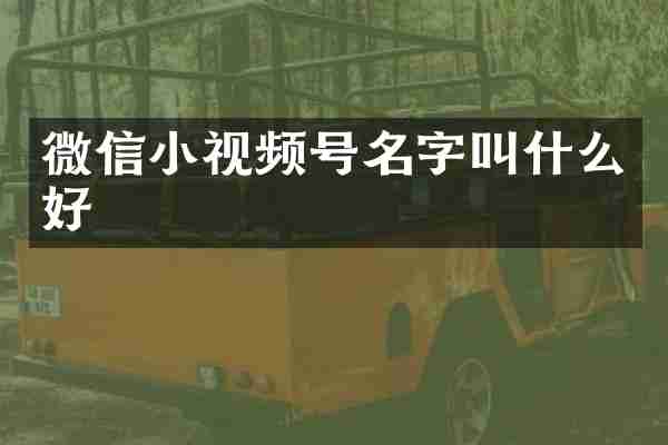 微信小视频号名字叫什么好