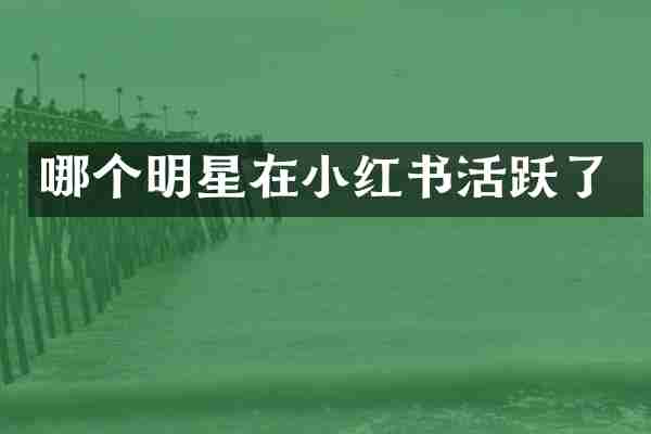 哪个明星在小红书活跃了