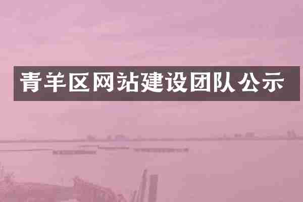 青羊区网站建设团队公示