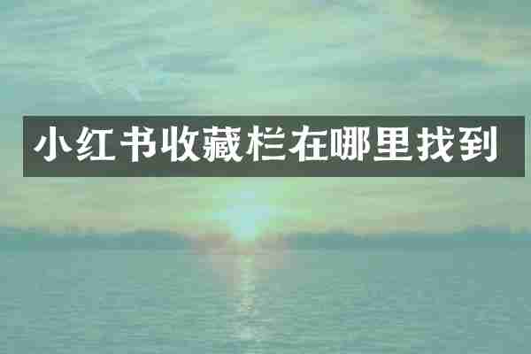 小红书收藏栏在哪里找到