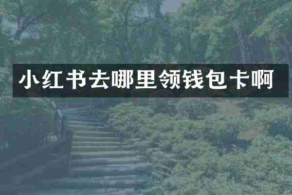 小红书去哪里领钱包卡啊