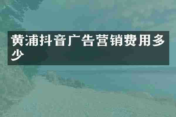 黄浦抖音广告营销费用多少