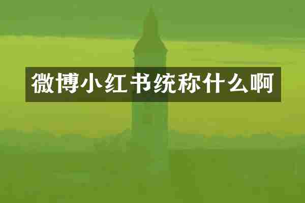 微博小红书统称什么啊