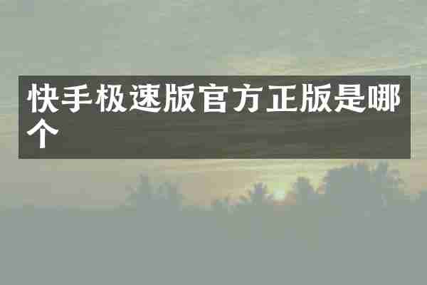 快手极速版官方正版是哪个