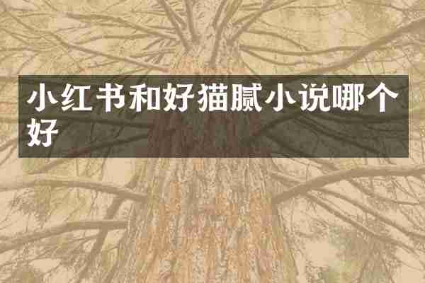 小红书和好猫腻小说哪个好