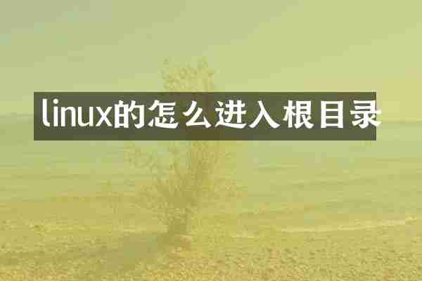 linux的怎么进入根目录