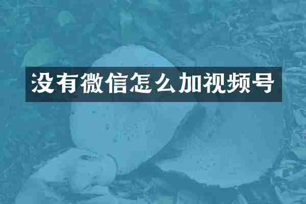 没有微信怎么加视频号