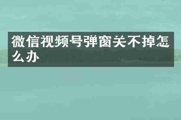 微信视频号弹窗关不掉怎么办