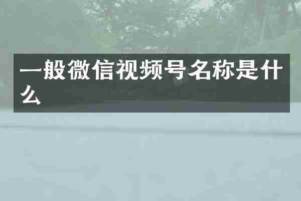 一般微信视频号名称是什么
