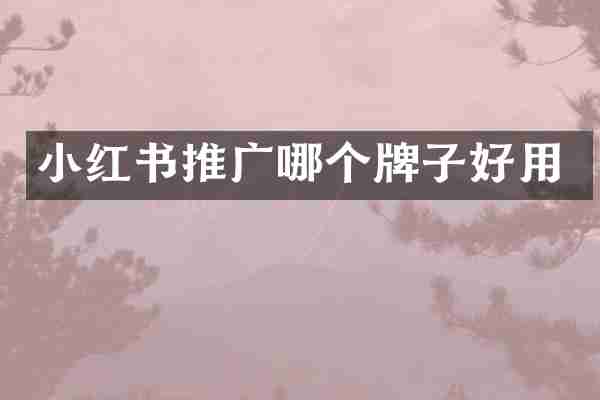 小红书推广哪个牌子好用