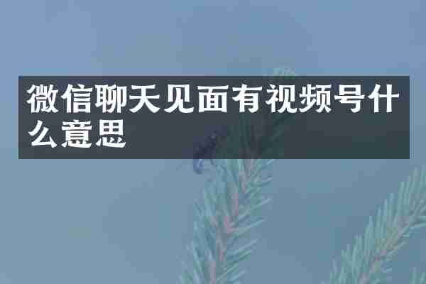 微信聊天见面有视频号什么意思