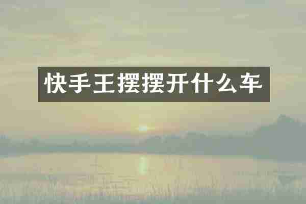 快手王摆摆开什么车