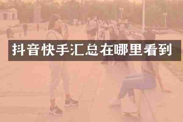 抖音快手汇总在哪里看到