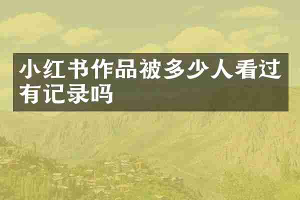 小红书作品被多少人看过有记录吗