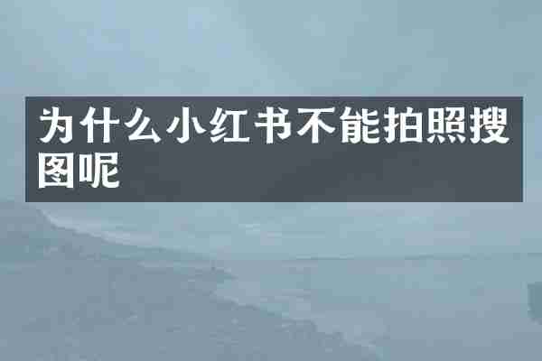 为什么小红书不能拍照搜图呢