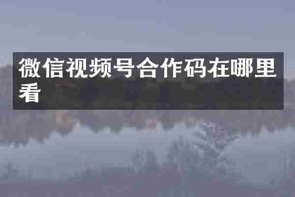 微信视频号合作码在哪里看