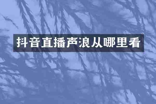 抖音直播声浪从哪里看