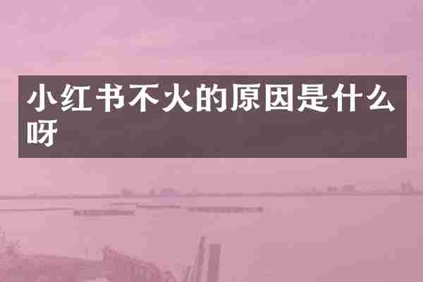小红书不火的原因是什么呀