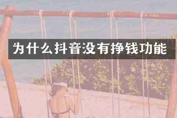 为什么抖音没有挣钱功能
