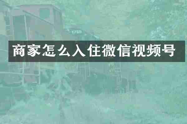 商家怎么入住微信视频号