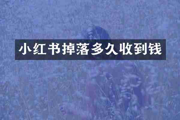 小红书掉落多久收到钱
