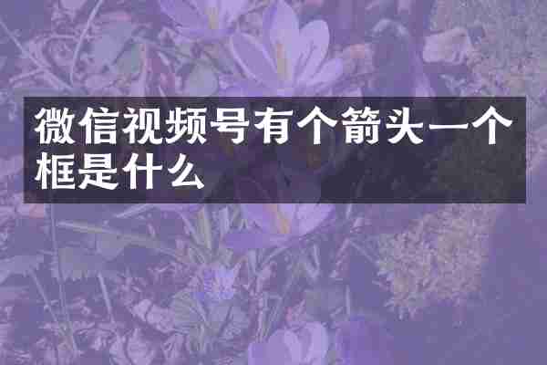 微信视频号有个箭头一个框是什么