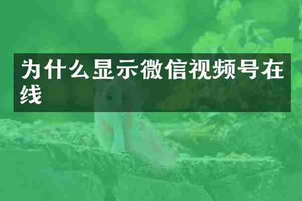 为什么显示微信视频号在线