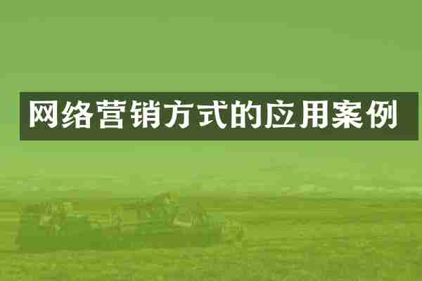 网络营销方式的应用案例