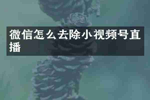 微信怎么去除小视频号直播
