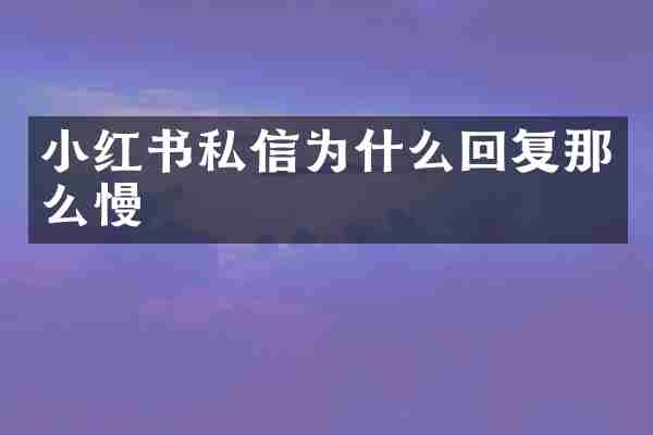 小红书私信为什么回复那么慢