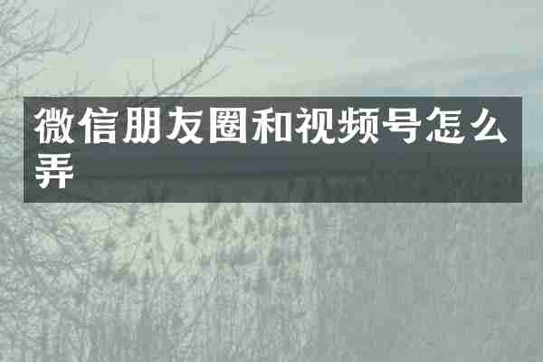 微信朋友圈和视频号怎么弄
