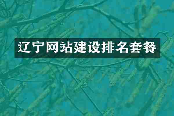辽宁网站建设排名套餐