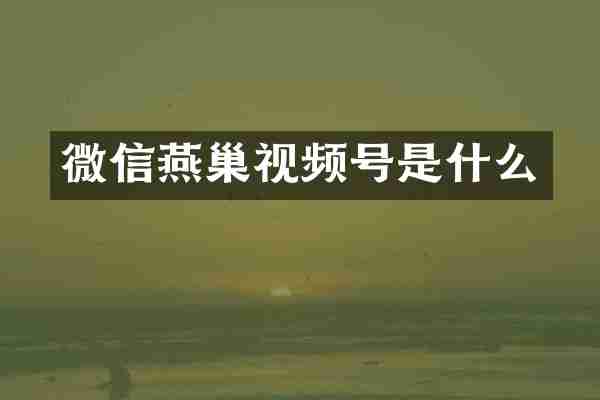微信燕巢视频号是什么