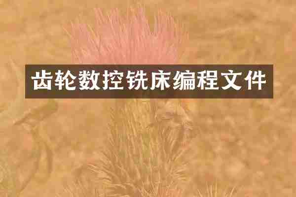 齿轮数控铣床编程文件
