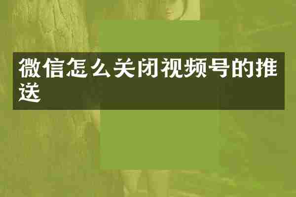 微信怎么关闭视频号的推送