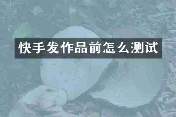 快手发作品前怎么测试